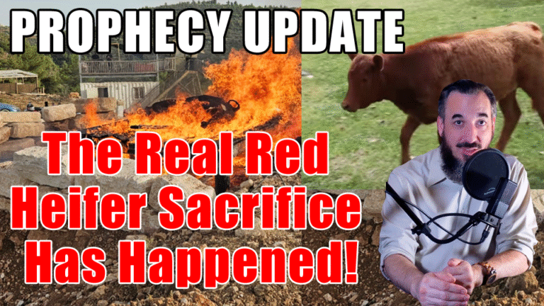 RED HEIFER SACRIFICE WAS REAL